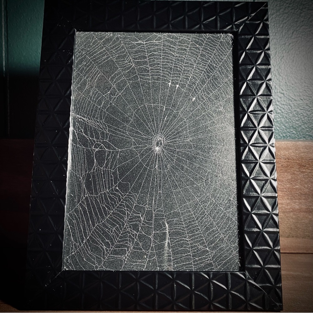 Real Spiderweb Frame 🕷️ 🕸️